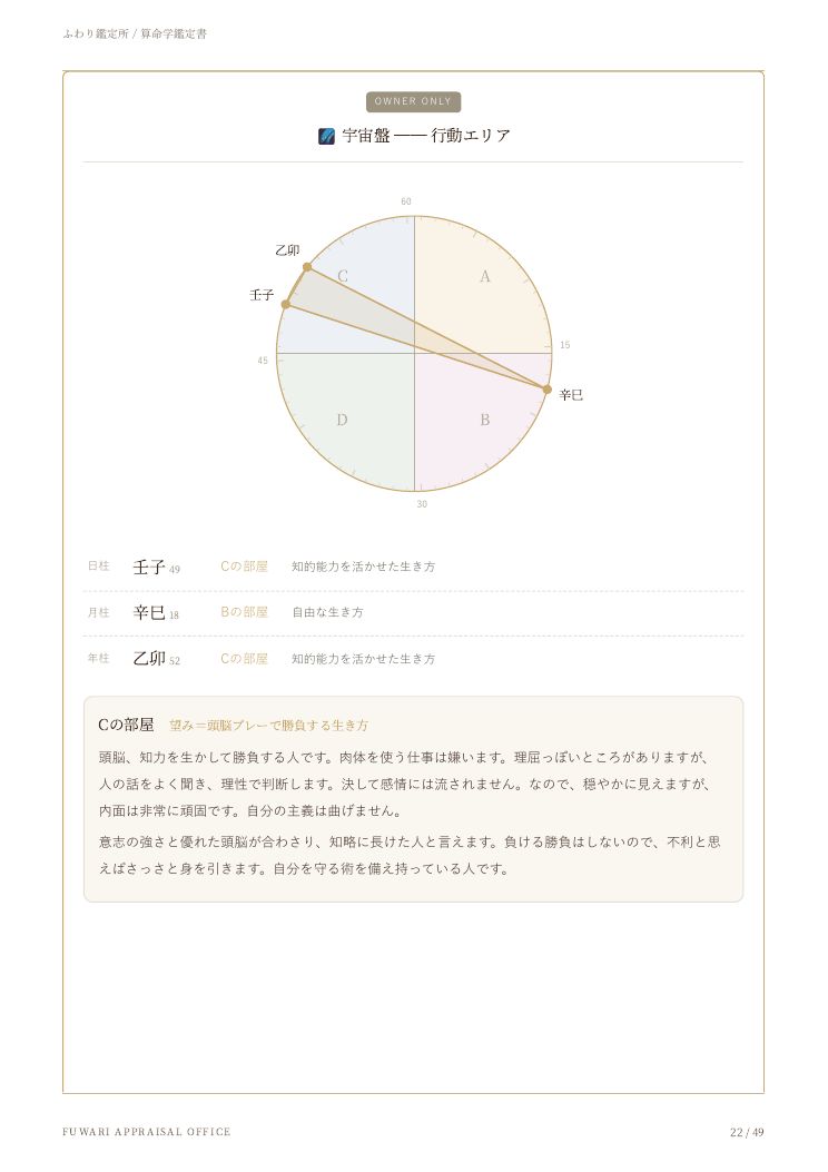 鑑定書サンプル：宇宙盤 ─ 行動エリア